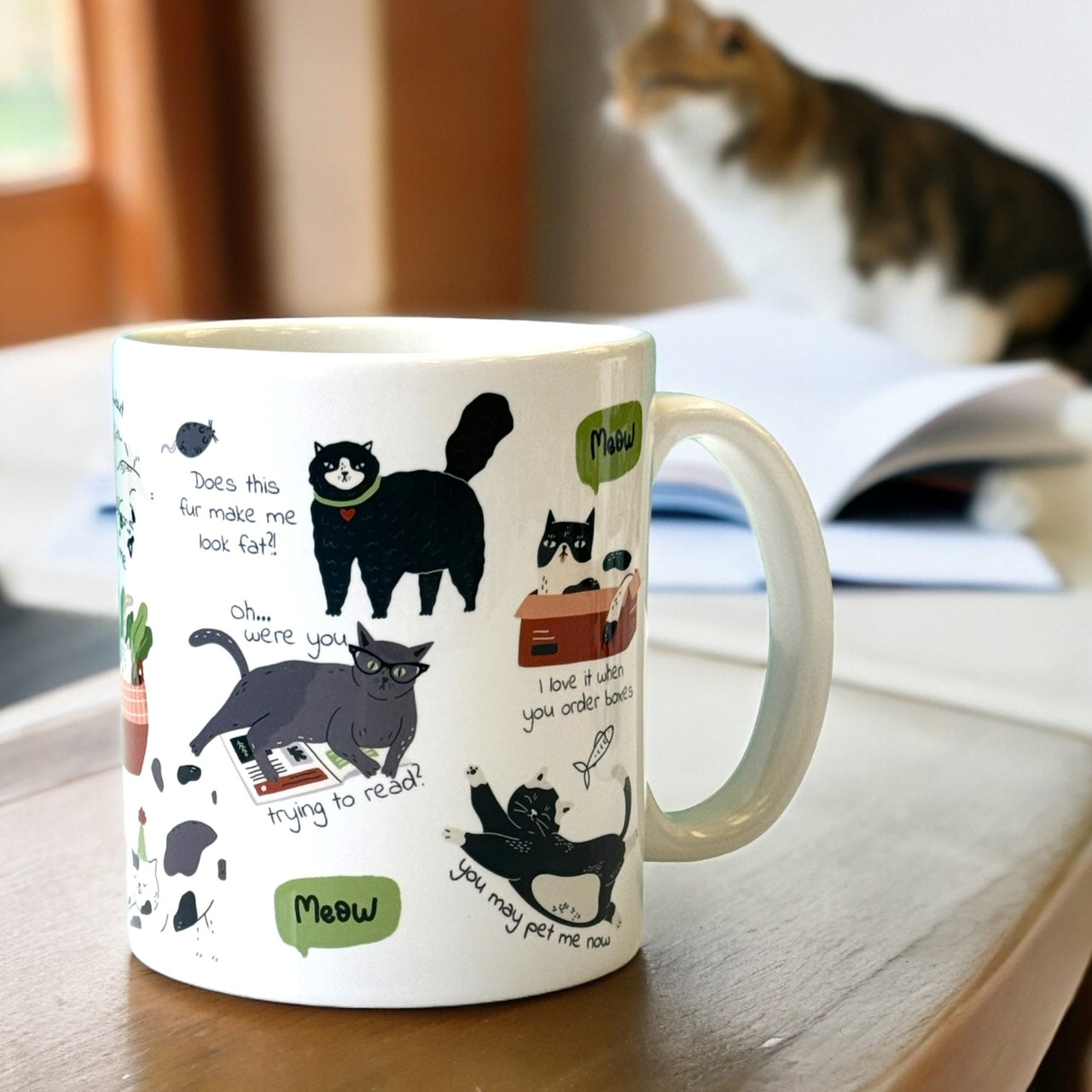 The Feisty Feline Crabby Cat 11oz Ceramic Mug