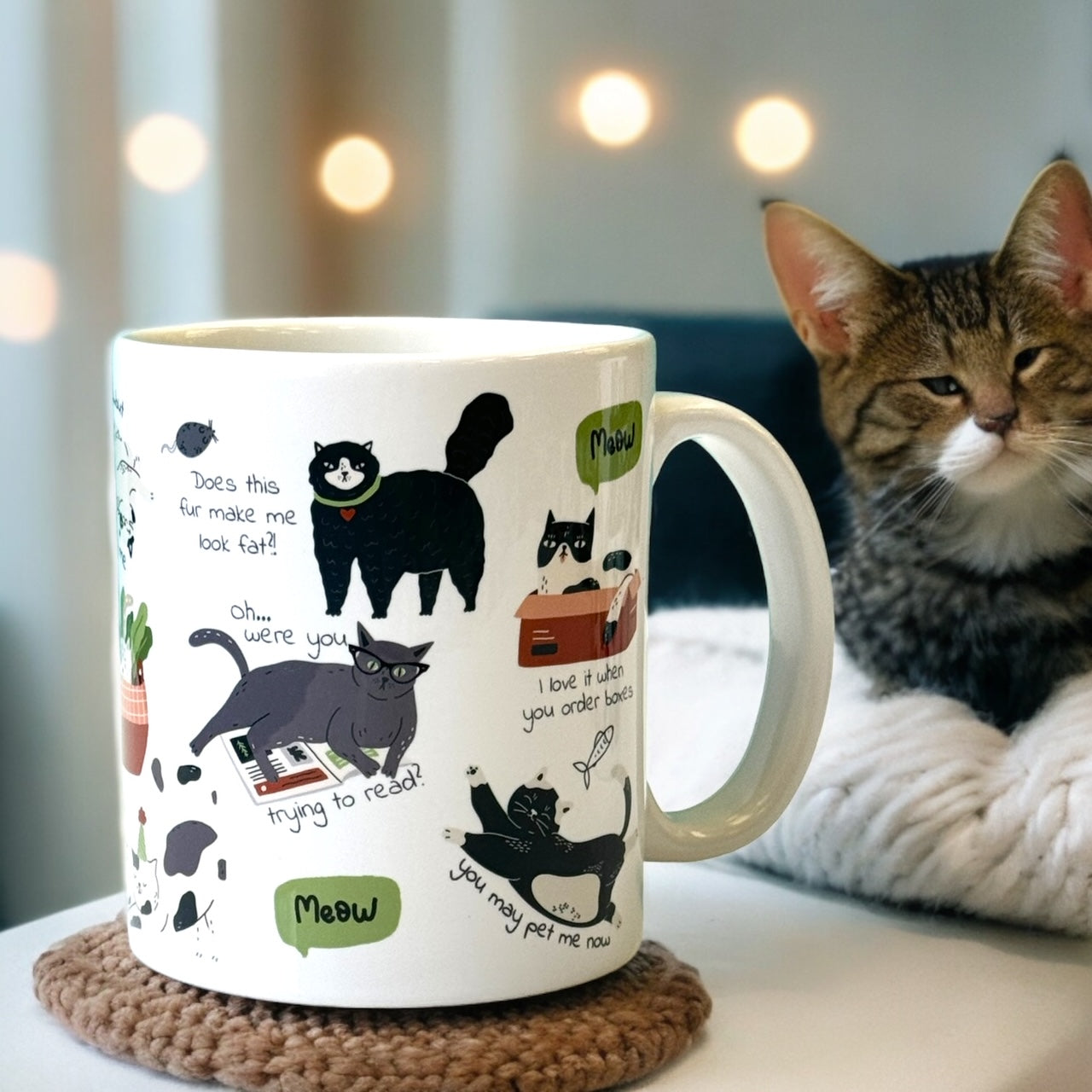 The Feisty Feline Crabby Cat 11oz Ceramic Mug